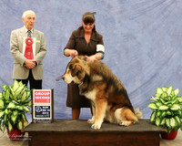 Tibetan Mastiff #5 Sun Group 2 Brenda Lott Agent Holly Leftwich Judge R Hartinger LR Midland Feb 2013