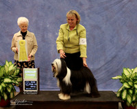 Tibetan Terrier #5 Sun Group 3 Kimberly Bolak Agent Lois DeMers Judge P Hartinger  LR Midland Feb 2013