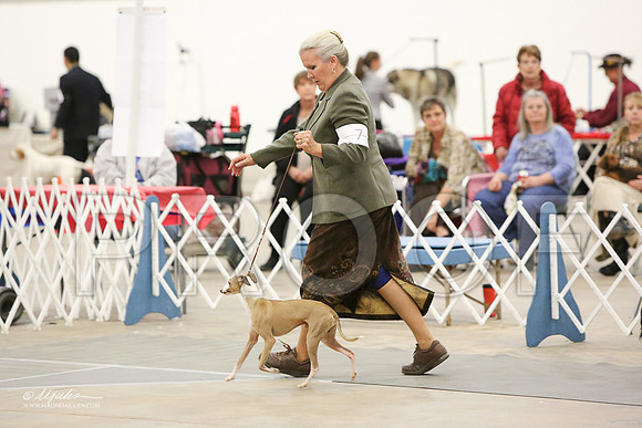 ToyGSn-5351-LR