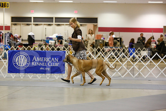 _JN_3120-AmarilloSept2014-HR3