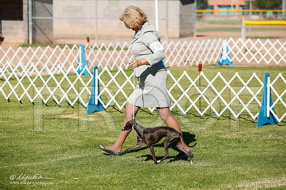 _JJ_4260-AlamogordoOct2014-HR3