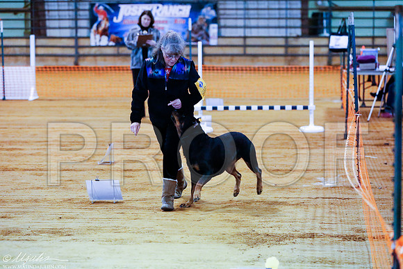 _RH_4620-MarshDec2014-HR