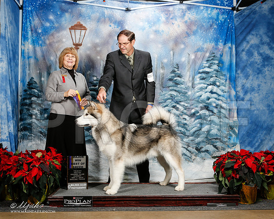 _ST_9252-2-DallasDec2014-HR3