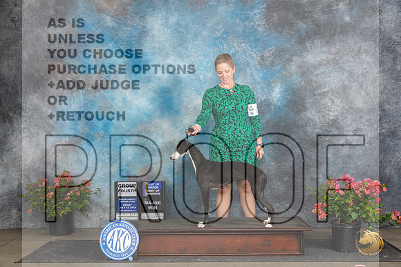 Whippet #24 Fri BOBMG4 Judge Polly (Mrs Robert) D Smith__JP_4359_San Antonio_2024_HR3