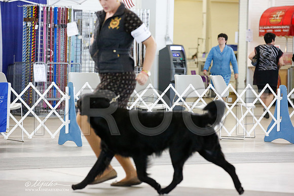 _JN_3030-DallasJul2014-HR3