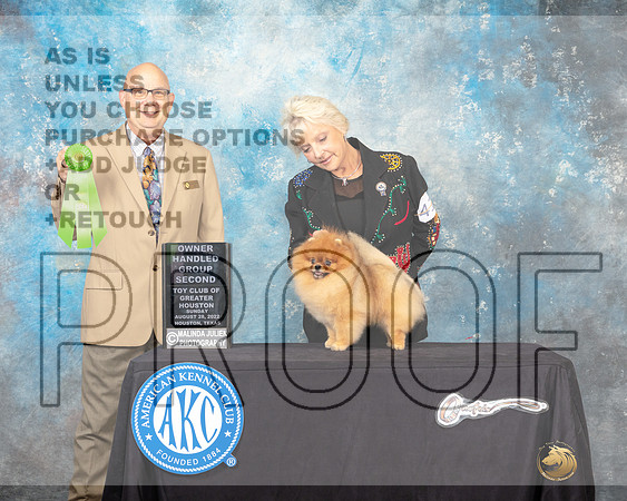 Pomeranian #41 Sun OHG2 Judge Bradley Jenkins-_MJ_0543e-HR3