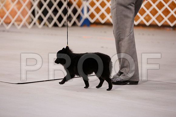 _RH_7856-CarlrolltonSept2014-HR3