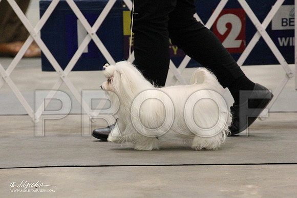 IMG_7910-Abilene2011-HR3