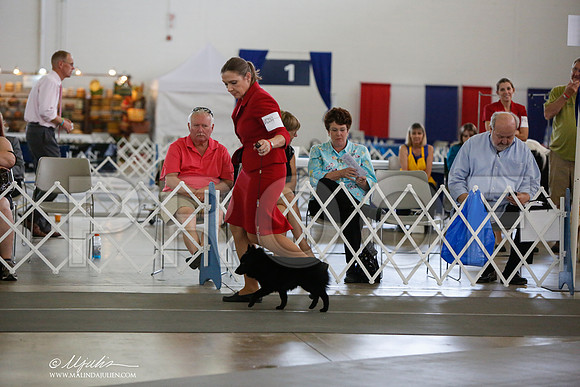 _JJ_2491-DallasJul2014-HR3