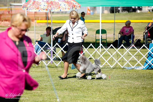 _JJ_6054-AlamogordoOct2014-HR3