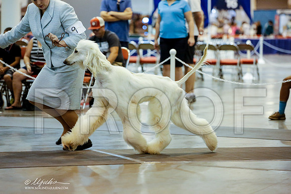 _JJ_5916-HstnJul2014-HR3