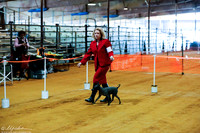 Terrier Group Sat S1 Rings