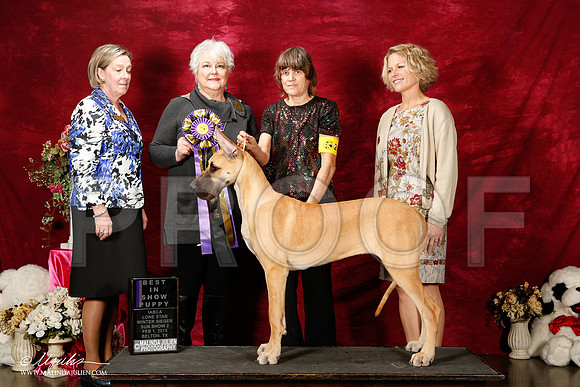 _ST_3023-2-BeltonJan2015IABCA-HR3