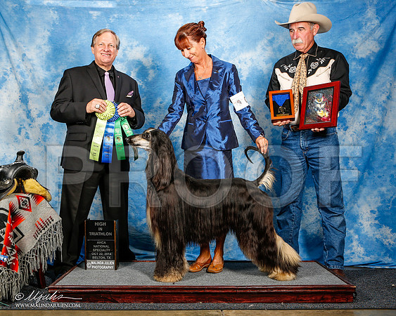 _ST_4632-2-AfgBeltonOct2014-HR3
