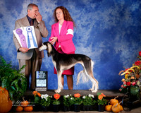 Saluki #20 Sat BOW New Ch ***change win board SCA*** Houston Nov 2013