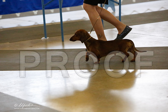 _HR_4282-DallasJul2014-HR3