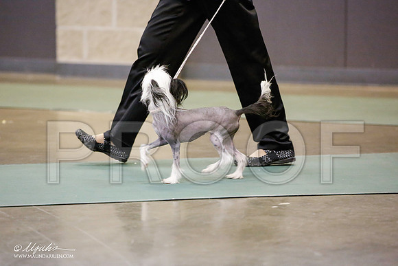 _JN_5433-BeltonJan2015-HR3
