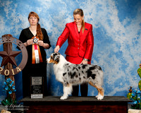 #3 Fri Opn Blue Bitch Kathleen Sumner, Evans Sumner Judge Emmy Adasiewics