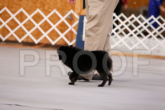 _RH_7566-CarlrolltonSept2014-HR3