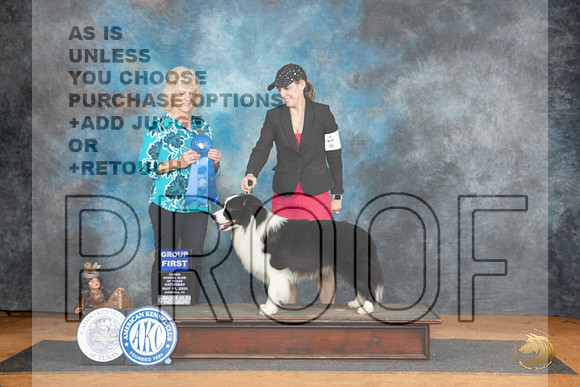Border Collie #7 Sat G1 Judge Lisa Graser__JP_8337_MARSHALL_2024_HR3