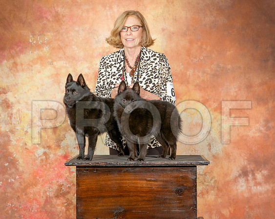 _ST_2550-CarlrolltonSept2014-HR3