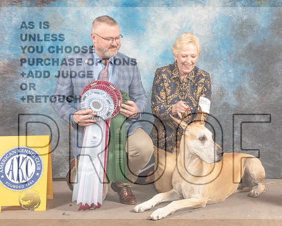 Great Dane #10 Fri BVBOHSB Judge Jason Hoke-MMJ_6971-FW2022-HR3