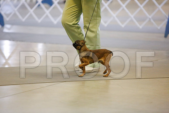 _JJ_8813-AmarilloSept2014-HR3