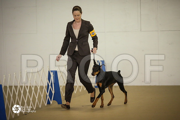 Dobe-7455-HtoJan14-HR