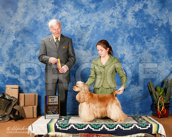 _ST_1538-2-GlenRoseJan2015-HR3