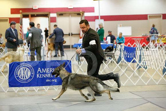 _JJ_2732-AmarilloSept2014-HR3