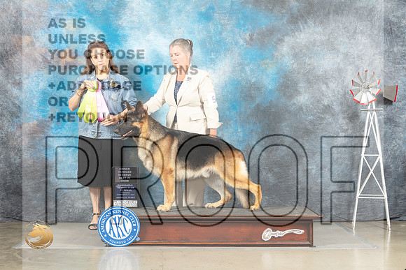 German Shepherd Dog #5 Thur OHBIS Judge Joan Liebes_MJ_3836_Amarillo_2022_HR3