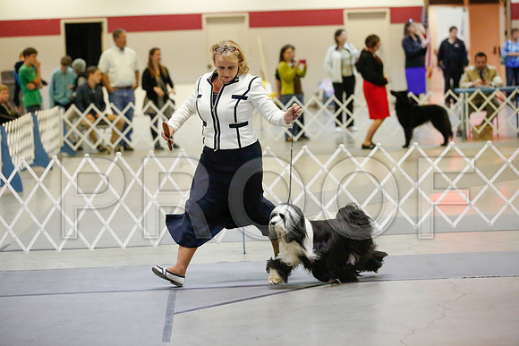 _JJ_8171-AmarilloSept2014-HR3