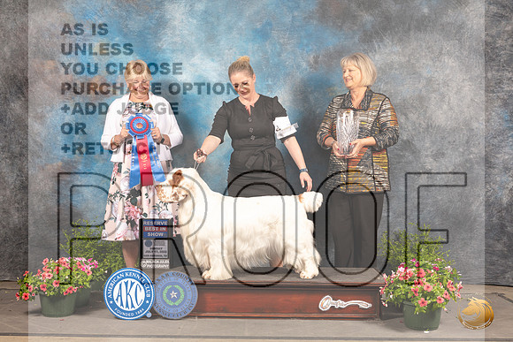 Clumber Spaniel #7 Sun RBIS Judge Debra Thorngon_MJ_1749_SA_2022_HR3