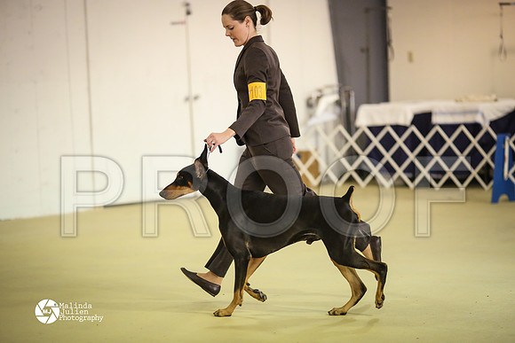 Dobe-7809-HtoJan14-HR
