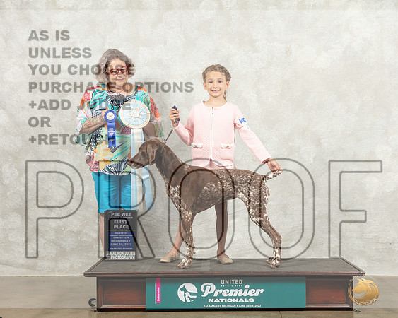 German Shorthaired Pointer #167 Wed PeeWee Judge Julie Pepper_MMJ_6710_Premier_2022_HR3