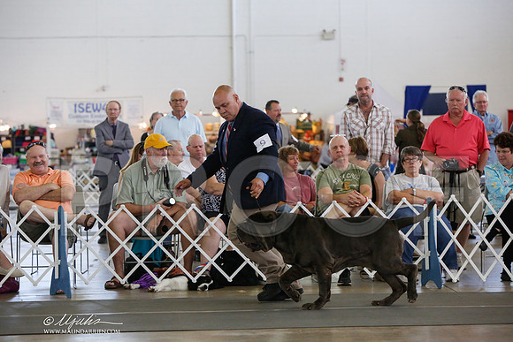 _JJ_1913-DallasJul2014-HR3