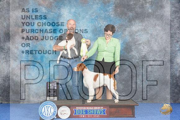 Brittany #19 WED BISw Judge Mary Crawford__JP_6820_Houston_2024_HR3