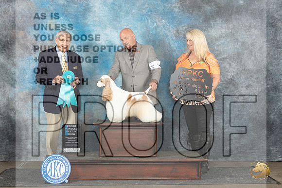 Cocker Spaniel Parti #5 Sat OHBIS Judge David Bolus__JP_3807_Lubbock_2024_HR3