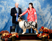 #482 Mon 12-18 Dog 1st