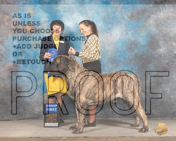 Mastiff #5 Fri G1 Judge Barbara AldermanMMJ_3317_Mdlnd2022_HR3