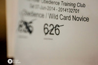 #626 Sat Wild Card Nov Janet Bruner Judge J Ham