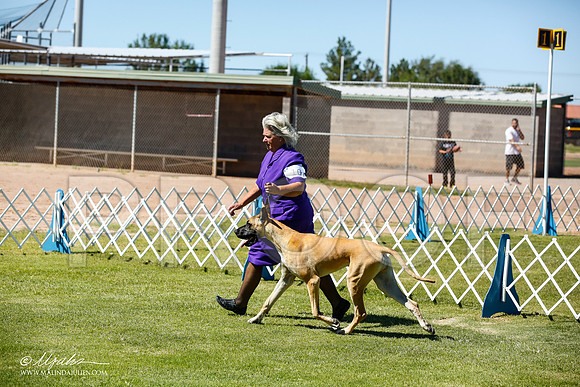_JN_6394-AlamogordoOct2014-HR3