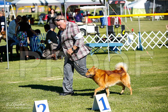 _JJ_6057-AlamogordoOct2014-HR3