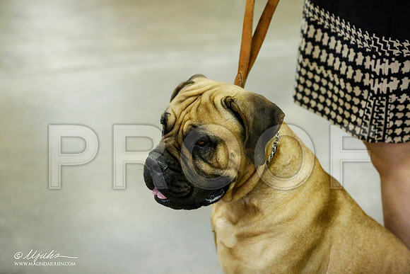 _RH_1546-BeltonJan2015IABCA-HR3