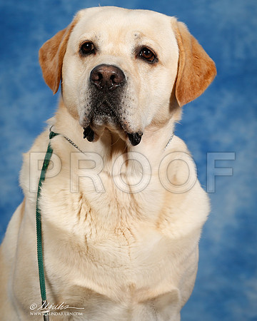 _ST_6886-SAJul2014-HR3