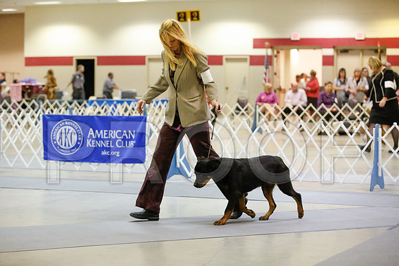 _JJ_7726-AmarilloSept2014-HR3