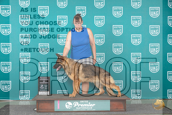 German Shepherd Dog #1047 Fri RCOC Judge Stan Matsumoto__JP_2800_Premier_2024_HR3