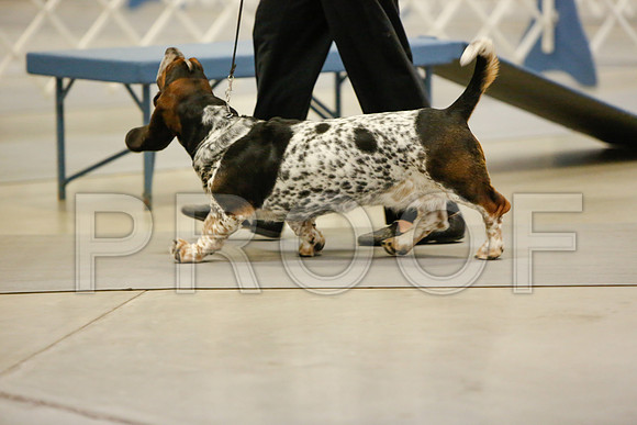 _JN_3026-AmarilloSept2014-HR3