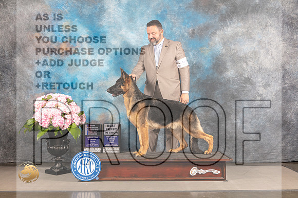 German Shepherd Dog #33 FRI WD BOW NCH Major Judge John Wade_MJ_5029_Houston_2022_HR3