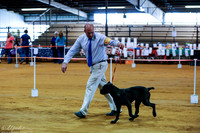 Cane Corso Sat S2 Rings